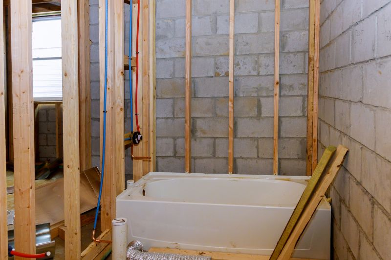 Top Tub To Shower Conversion Companies in Eureka, MO